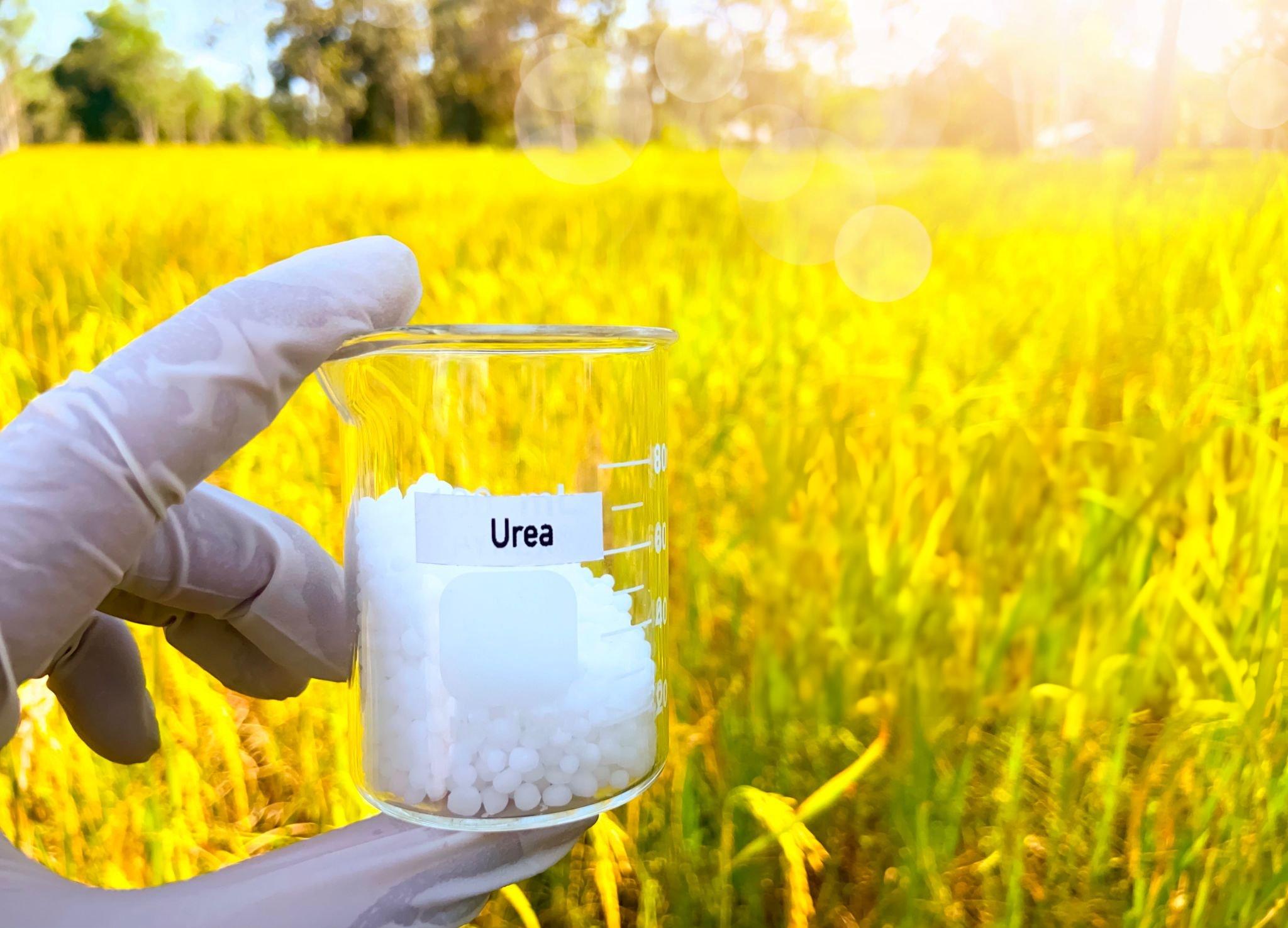 Mengapa Senyawa Urea Digunakan sebagai Pupuk?