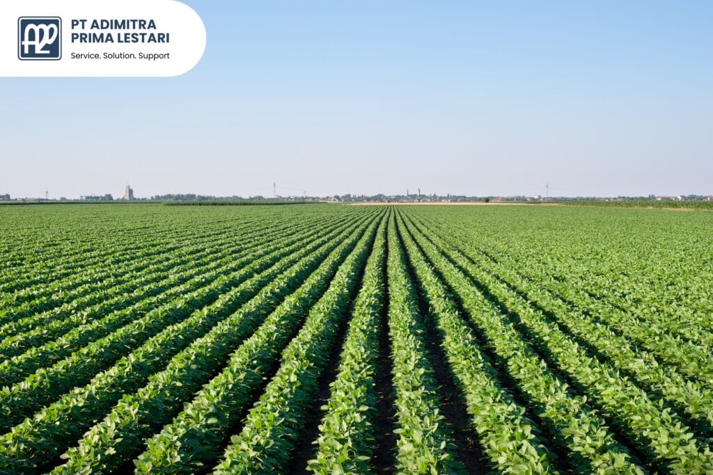 Tren Industri Agrikultur Indonesia Tantangan dan Peluang Meningkatkan Produktivitas - PT Adimitra Prima Lestari Distributor Bahan Kimia Industri