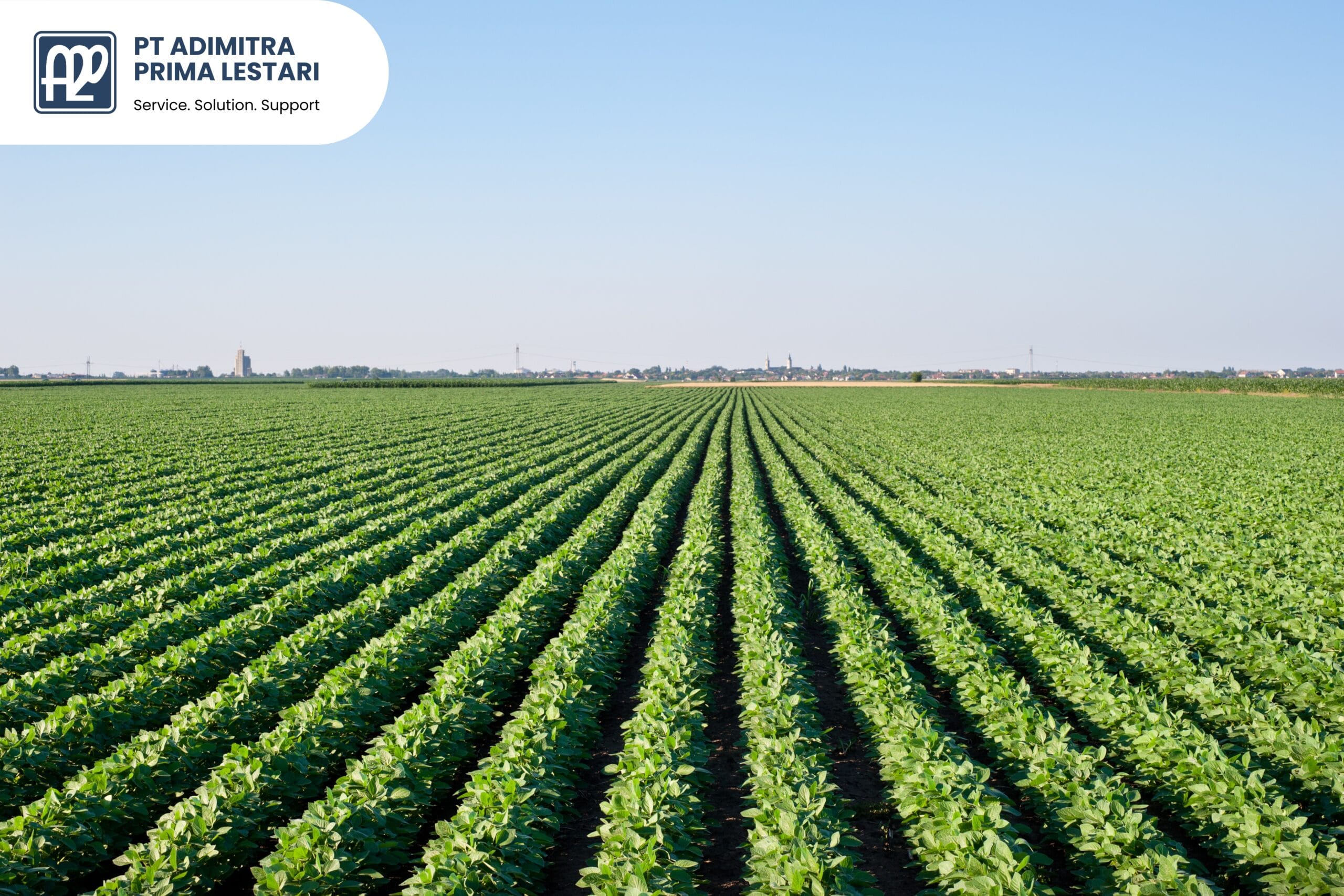 Tren Industri Agrikultur Indonesia Tantangan dan Peluang Meningkatkan Produktivitas - PT Adimitra Prima Lestari Distributor Bahan Kimia Industri